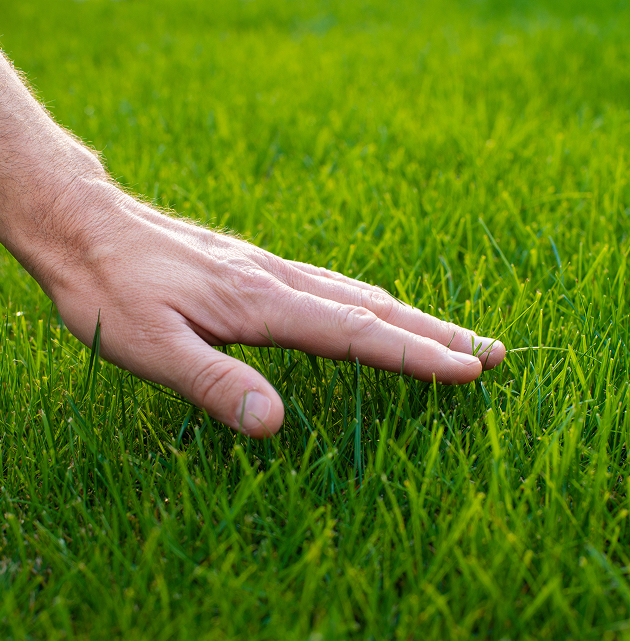 Lawn Care Designed for Your Convenience