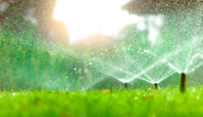 why irrigation